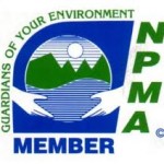 npma logo blue